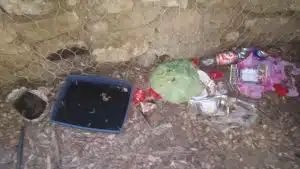 altavilla silentina degrado parco la foresta