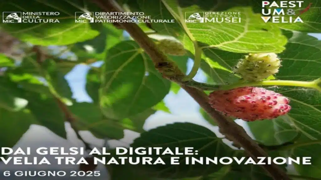 ascea visita gelsi 6 giugno