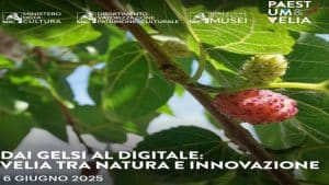 ascea visita gelsi 6 giugno