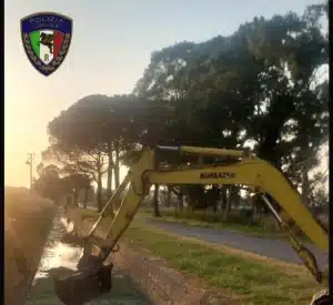 carcasse animali canale capaccio paestum