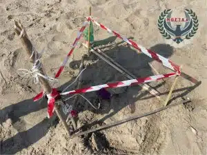 capaccio paestum morta tartaruga caretta caretta