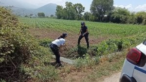 Scarico abusivo di scarti caseari: intervento della Polizia Municipale a Capaccio Paestum