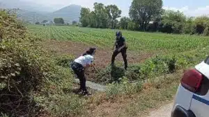 Scarico abusivo di scarti caseari: intervento della Polizia Municipale a Capaccio Paestum