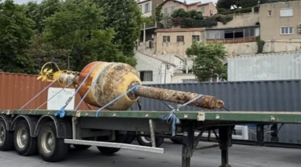 cilento ritrovata boa dispersa corsica