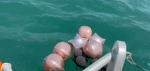 inquinamento mare salerno palloncini idrocarburi