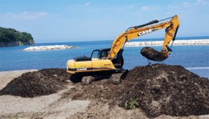agropoli pulizia spiagge posidonia rimossa