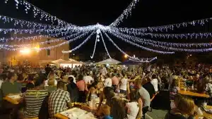 gusto-tradizione-ed-estate-le-sagre-di-giugno-in-provincia-di-salerno