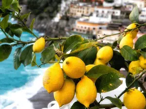 Anantara amalfi Yellow Night