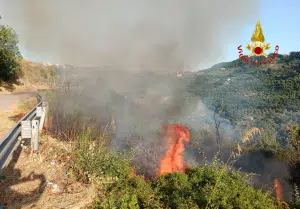 Incendio Prignano Cilento