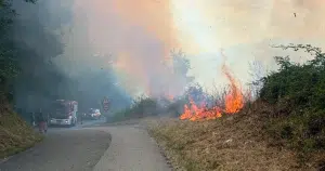 Incendio Sicignano Alburni