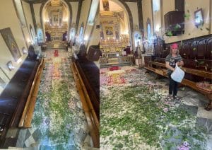 altavilla silentina infiorata pace corpus domini