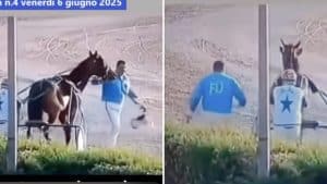 Choc a Pontecagnano: cavallo colpito sul muso con un casco durante una corsa