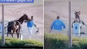 Choc a Pontecagnano: cavallo colpito sul muso con un casco durante una corsa