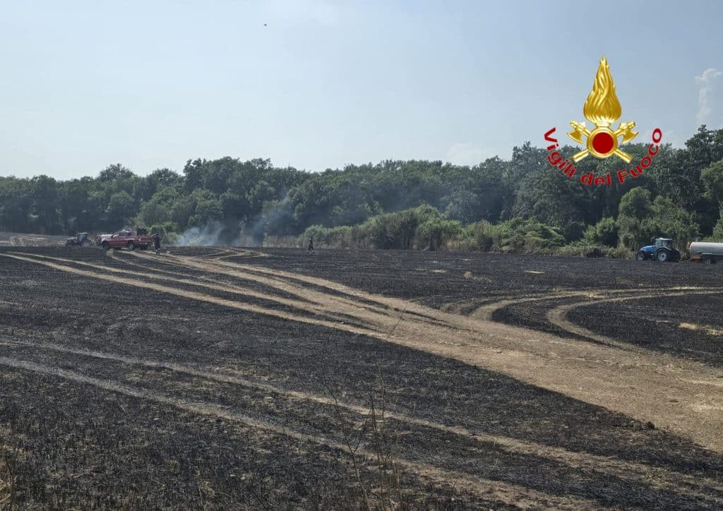 Serre, incendio a Persano: sterpaglie in fiamme