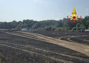 Serre, incendio a Persano: sterpaglie in fiamme