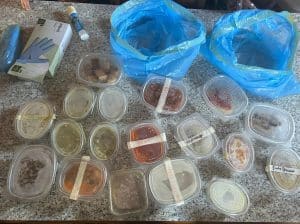 vallo diano sospeso ristorante sequestro cibo