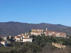 contributi fondo perduto Campora