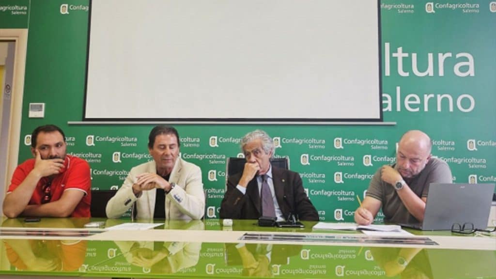 battipaglia confagricoltura confcooperative rilancio ortofrutta