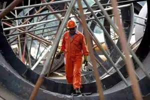 tasso occupazione istat dati italia 2025