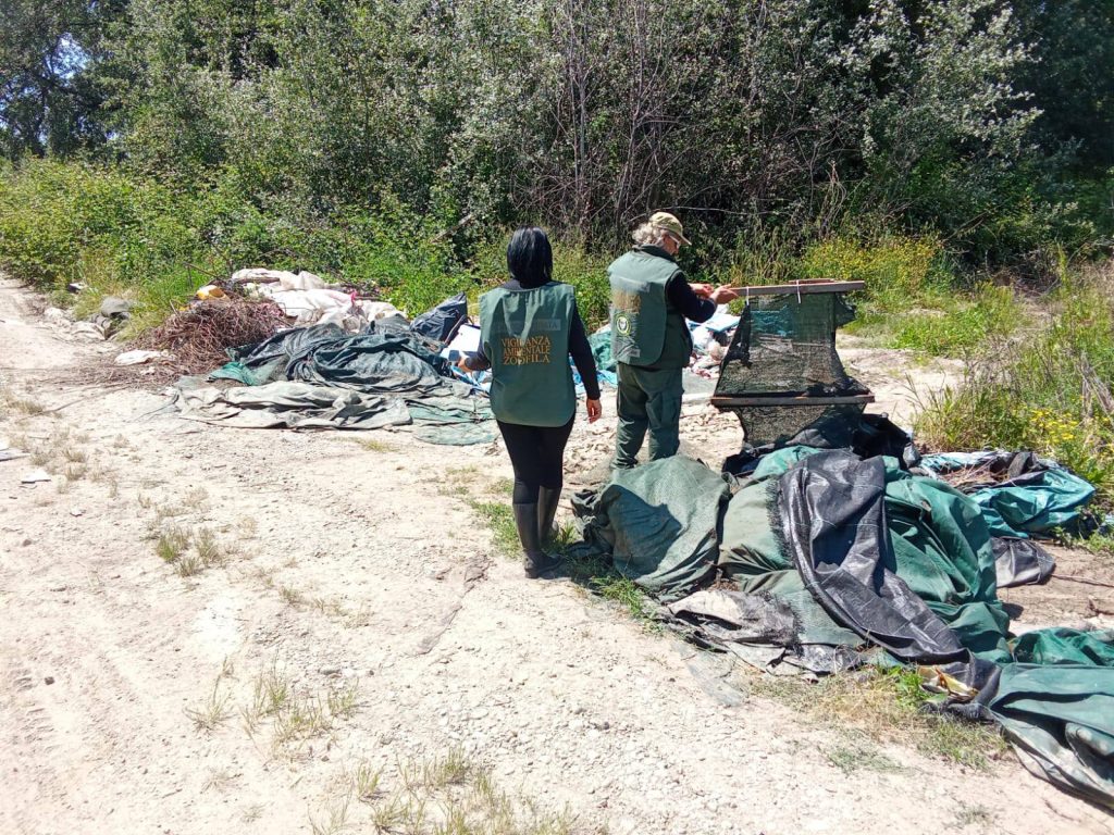 reati ambientali foce sele area protetta multe denunce