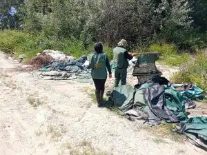 reati ambientali foce sele area protetta multe denunce