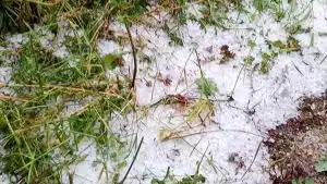 maltempo vallo diano danni oggi 16 giugno