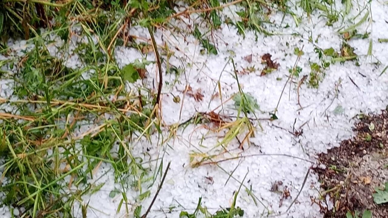 maltempo vallo diano danni oggi 16 giugno
