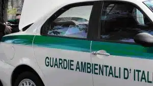 casal velino danneggiata sede guardie ambientali