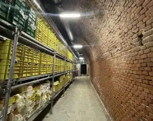 velia bando riqualificare ex galleria ferroviaria