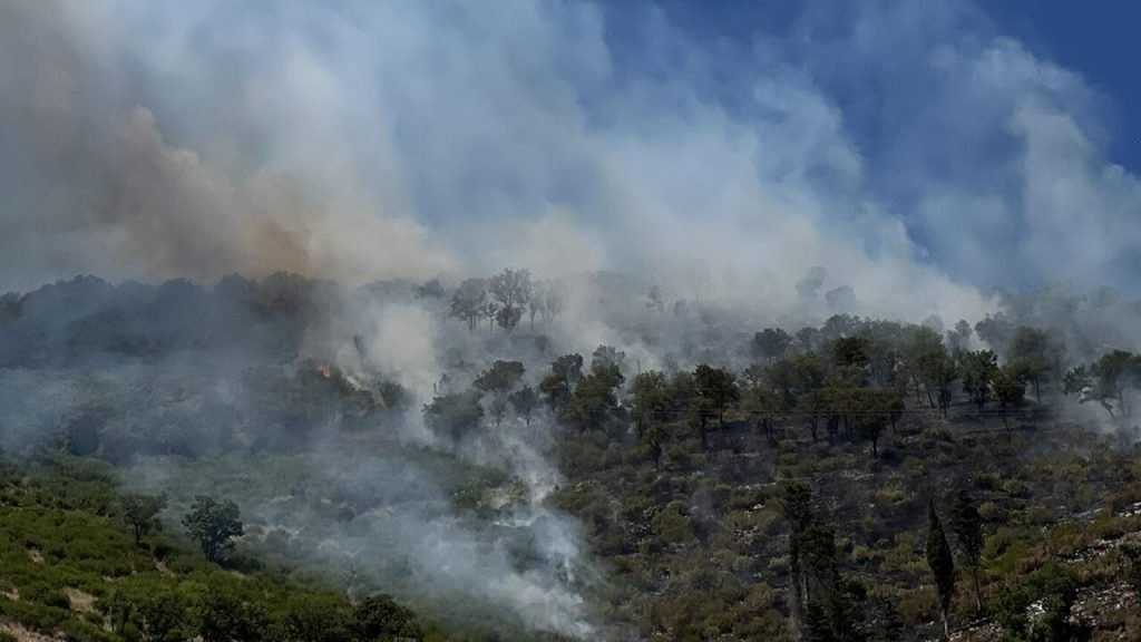 incendio castel san giorgio oggi 29 giugno