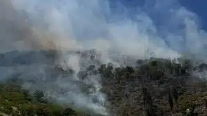incendio castel san giorgio oggi 29 giugno