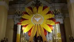 ogliara fiore 2025