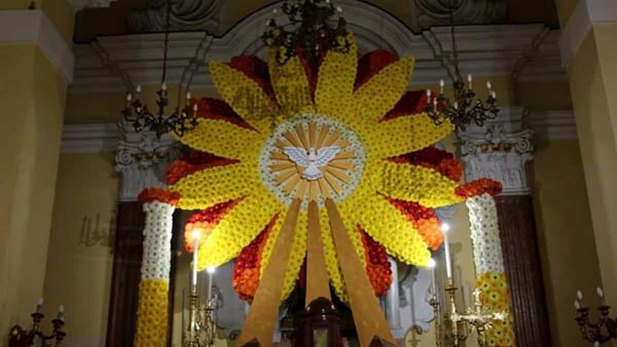ogliara fiore 2025