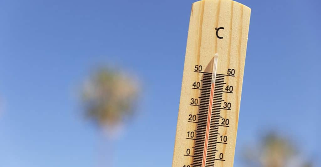 proroga allerta ondate calore campania