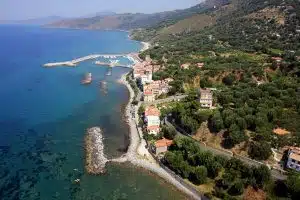 pisciotta balneari canoni arretrati