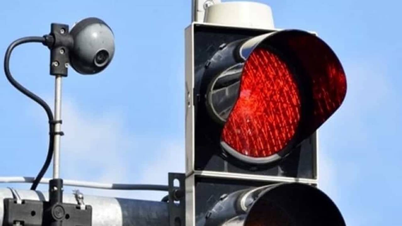 salerno semaforo intelligente appello carmine basso