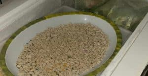 Vallo di Diano, chiuso ristorante per carenze igieniche e alimenti non tracciati