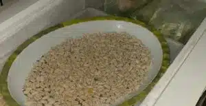 Vallo di Diano, chiuso ristorante per carenze igieniche e alimenti non tracciati