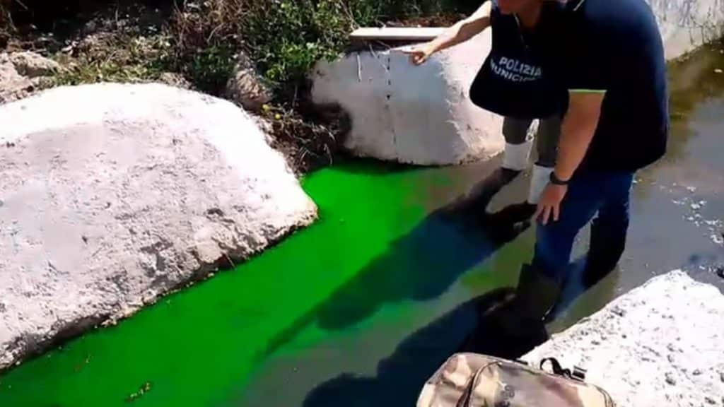 smaltimento illecito reflui capaccio paestum sequestro azienda zootecnica