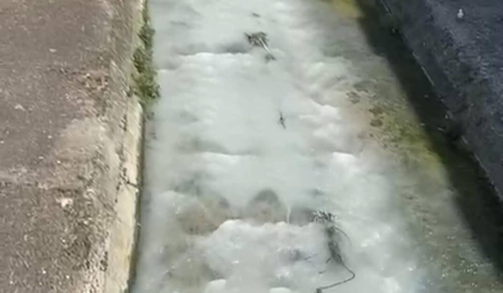 Salerno, fiume Irno si tinge di bianco: sconcerto tra i cittadini, possibile sversamento illecito