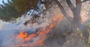 Incendio Casaburi Palinuro