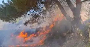 Incendio Casaburi Palinuro