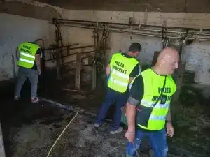 Capaccio Paestum: intervento della Polizia Locale svela smaltimento illecito di reflui e maltrattamento animale in azienda zootecnica