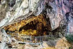 Grotta Cala Homo sapiens
