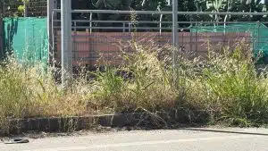 Allarme degrado a Bellizzi: la situazione a pochi passi dall’aeroporto Salerno-Costa d’Amalfi