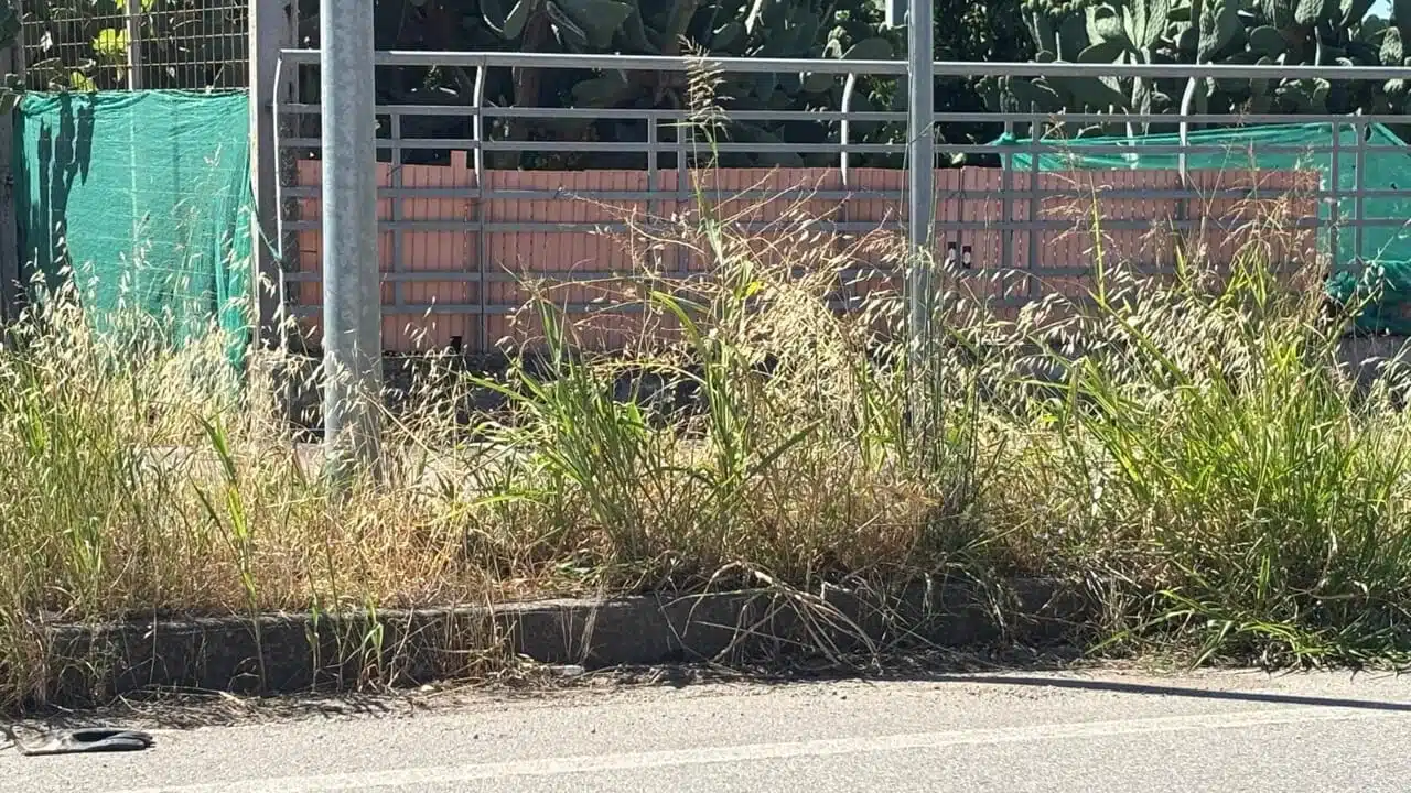 Allarme degrado a Bellizzi: la situazione a pochi passi dall’aeroporto Salerno-Costa d’Amalfi