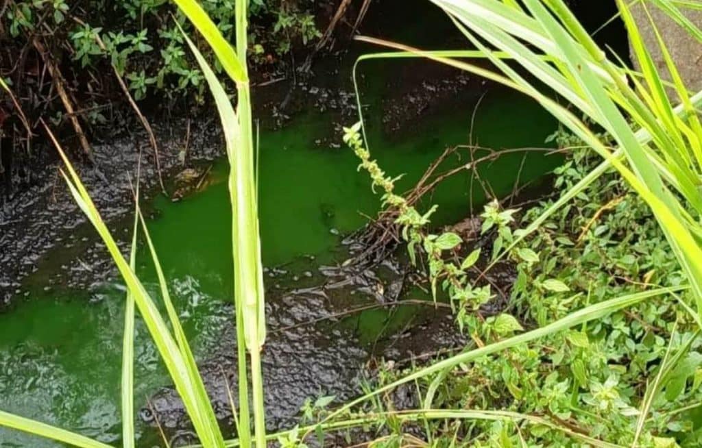 Capaccio Paestum, smaltimento illecito di reflui zootecnici: azienda sequestrata e imprenditore denunciato