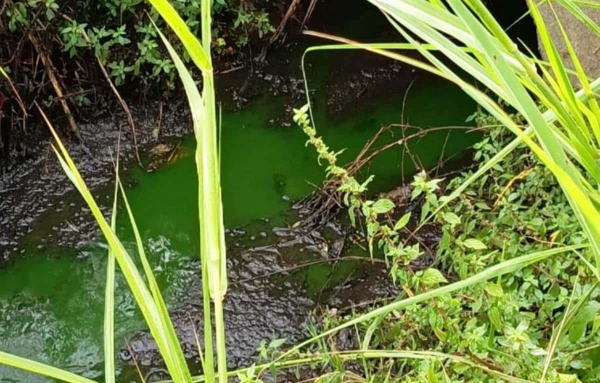 Capaccio Paestum, smaltimento illecito di reflui zootecnici: azienda sequestrata e imprenditore denunciato