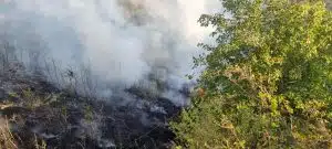 Paura a Caggiano: incendio minaccia le abitazioni del centro storico, intervento tempestivo evita il peggio