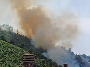 Incendio baronissi 25 luglio